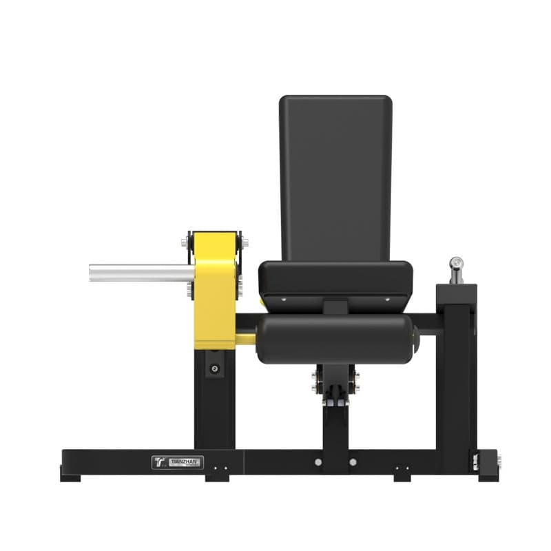 Leg Extension
